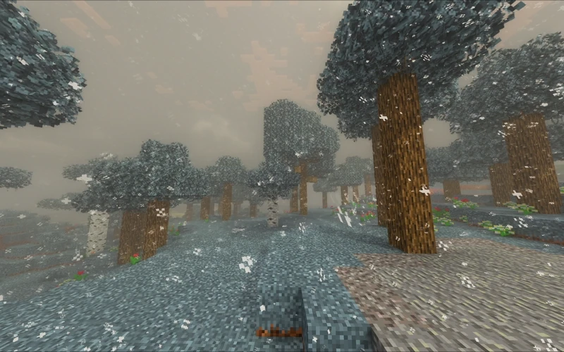 Realistic Seasons